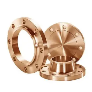 1747212047_Nickel Flanges.webp